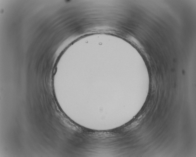 X0000062871336200602101642