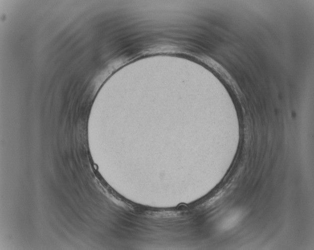 X0000062871337200602101642