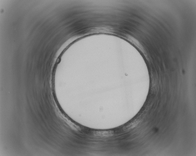 X0000062871339200602101642