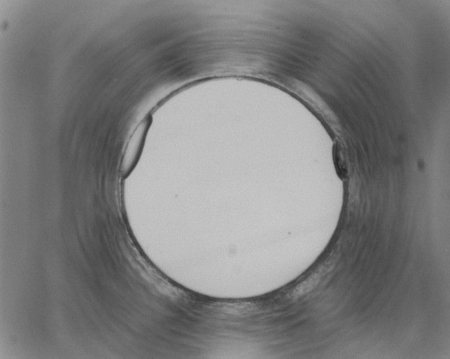 X0000062871340200602101642