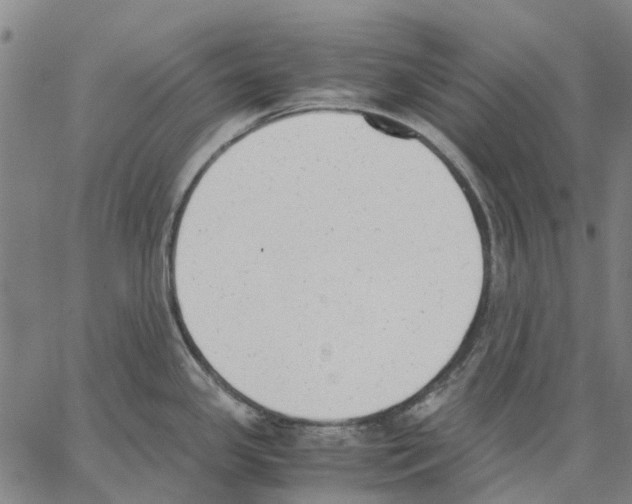 X0000062871341200602101642