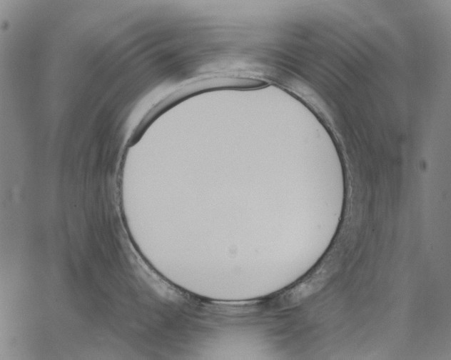 X0000062871344200602101642