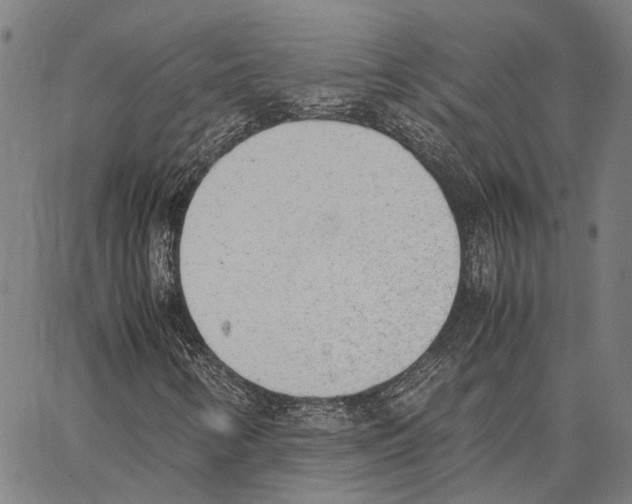 X0000062871346200602101641