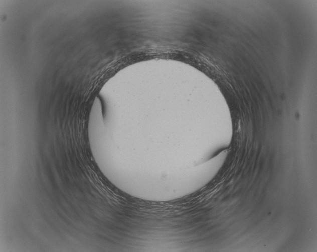 X0000062871348200602101641