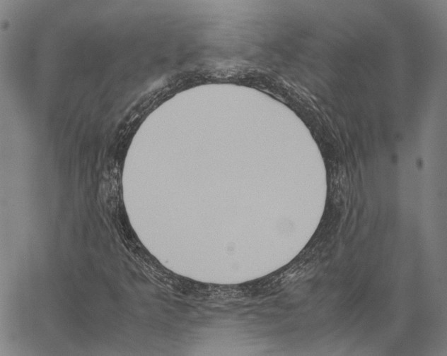 X0000062871349200602101641