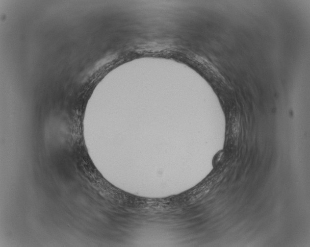 X0000062871350200602101641