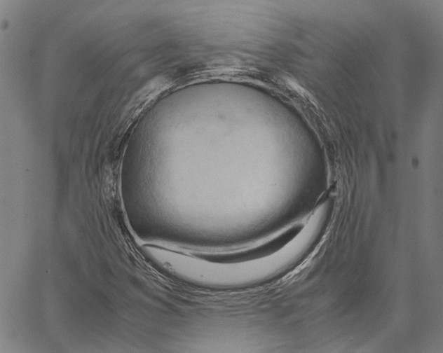 X0000062871353200602101641