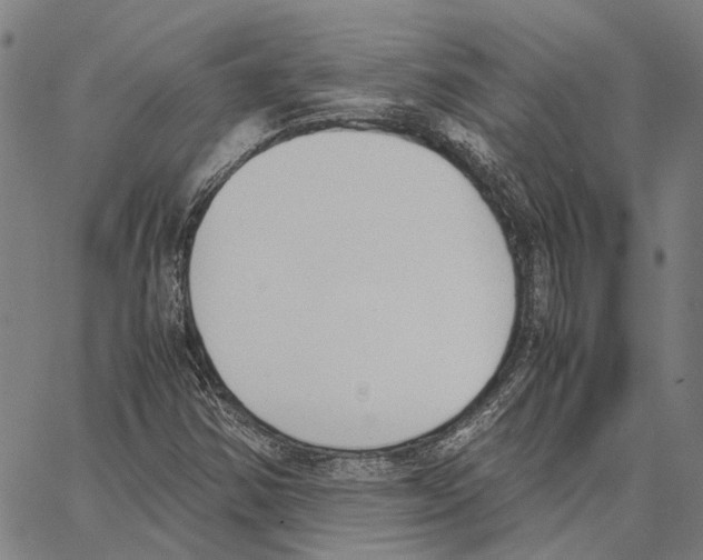 X0000062871354200602101641