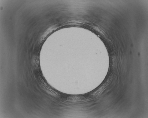 X0000062871355200602101641