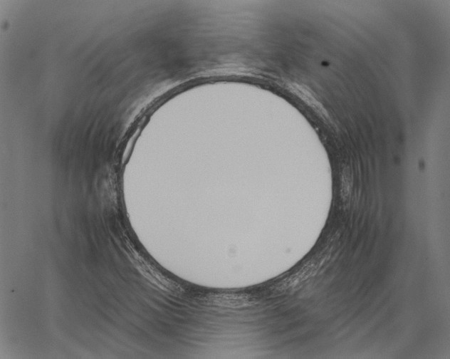 X0000062871356200602101641