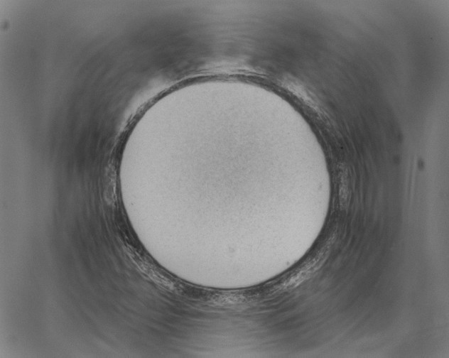 X0000062871358200602101641