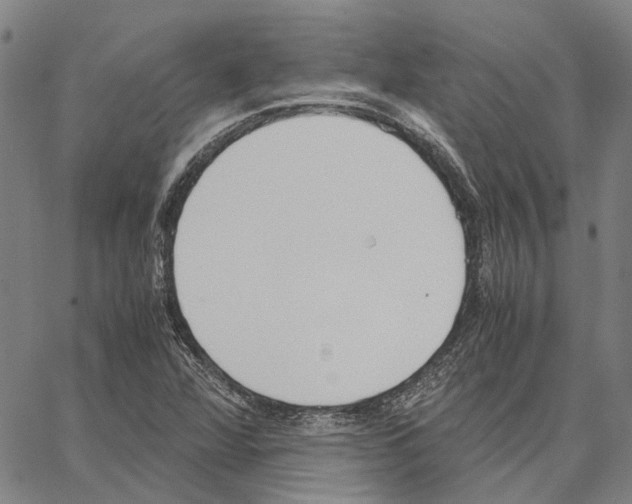 X0000062871360200602101641