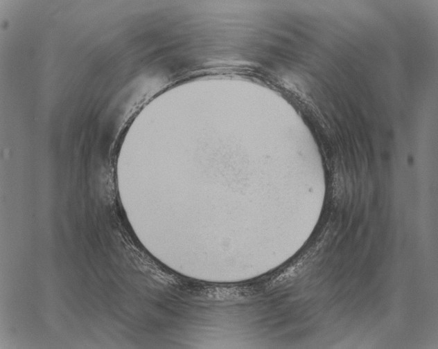 X0000062871362200602101641