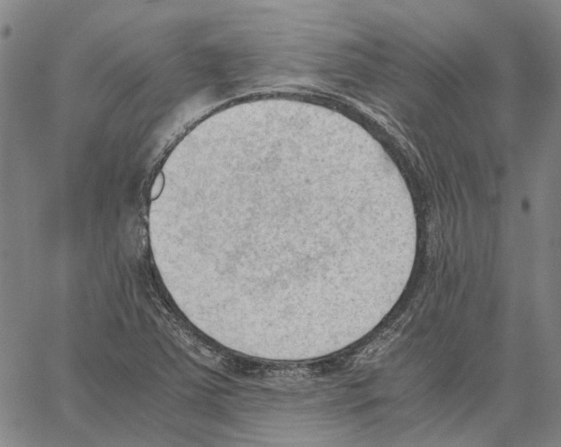 X0000062871363200602101641