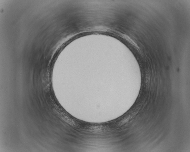 X0000062871364200602101641