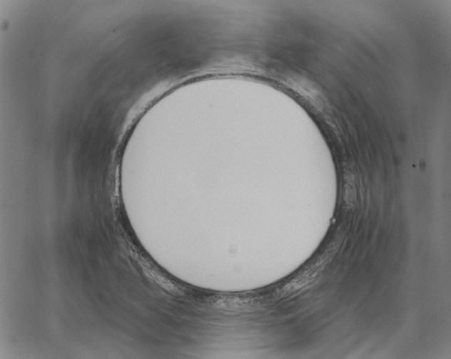 X0000062871366200602101641