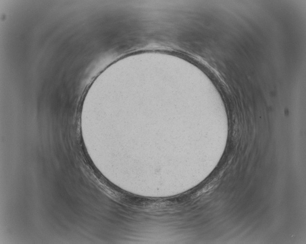 X0000062871367200602101641