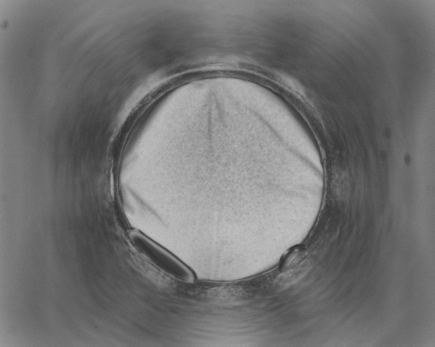 X0000062871368200602101641