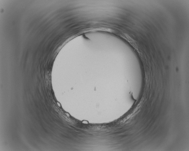 X0000062871369200602101641