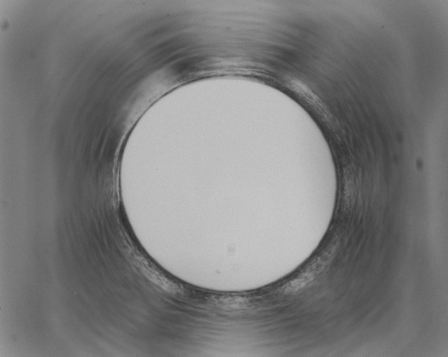 X0000062871370200602101641