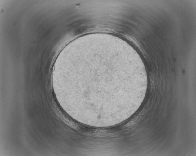 X0000062871371200602101641