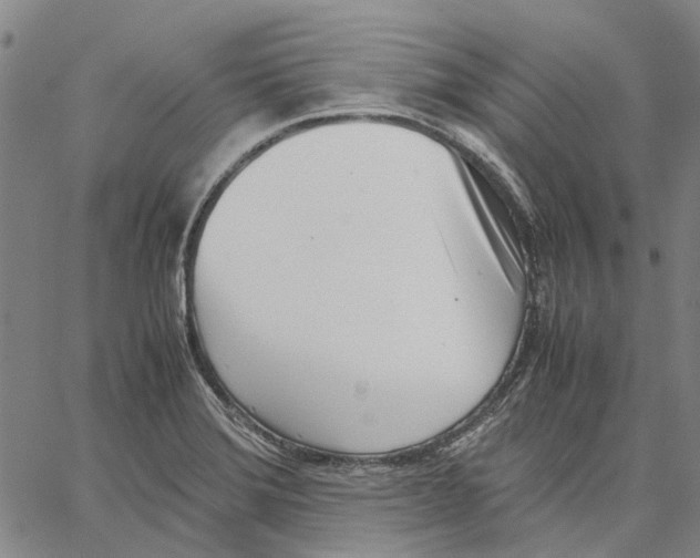 X0000062871372200602101641