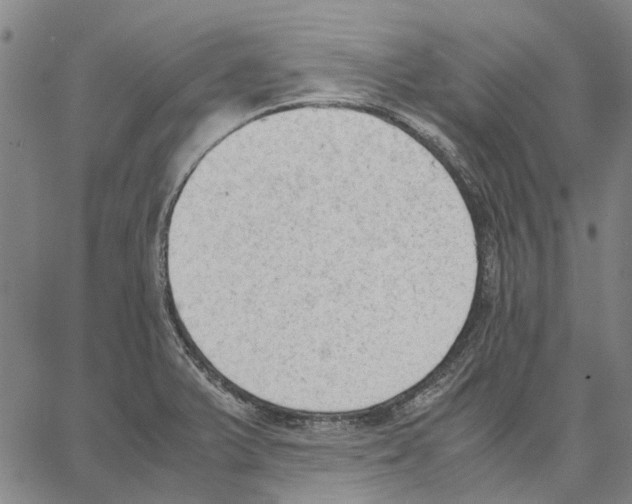 X0000062871375200602101641