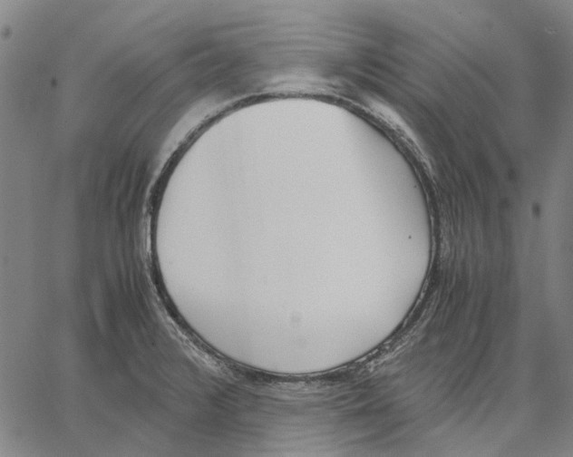 X0000062871376200602101641