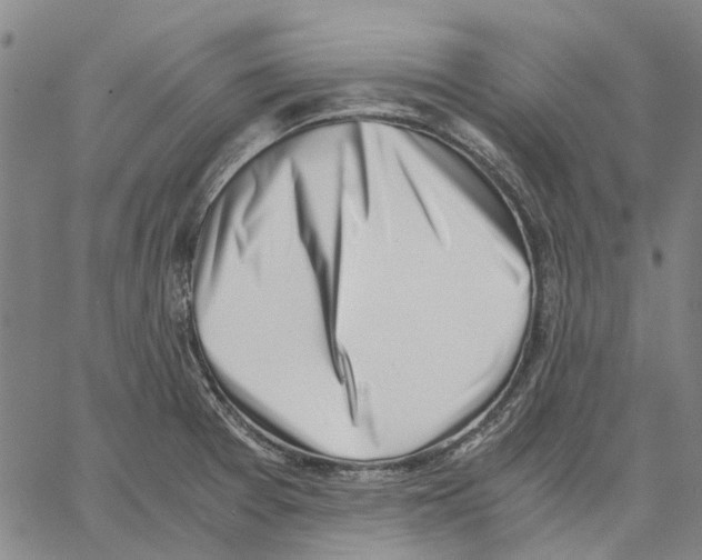 X0000062871377200602101641