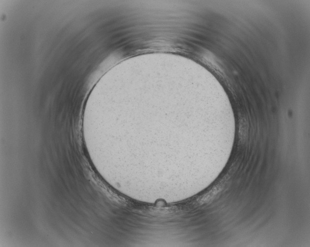 X0000062871378200602101641