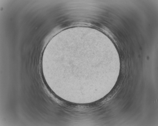 X0000062871379200602101641