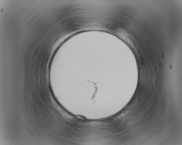 X0000062871380200602101641