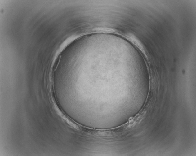 X0000062871381200602101641