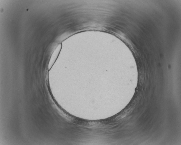 X0000062871383200602101641