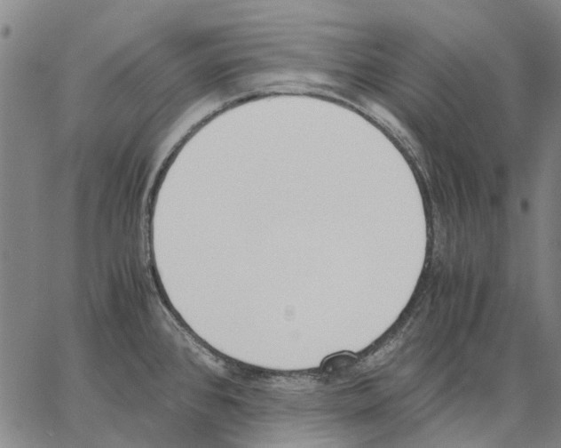 X0000062871384200602101641