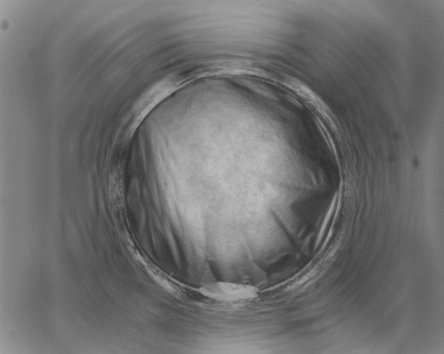 X0000062871385200602101641