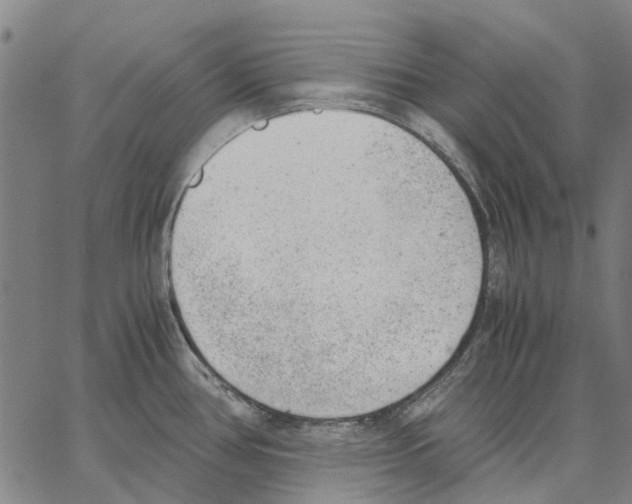 X0000062871386200602101641