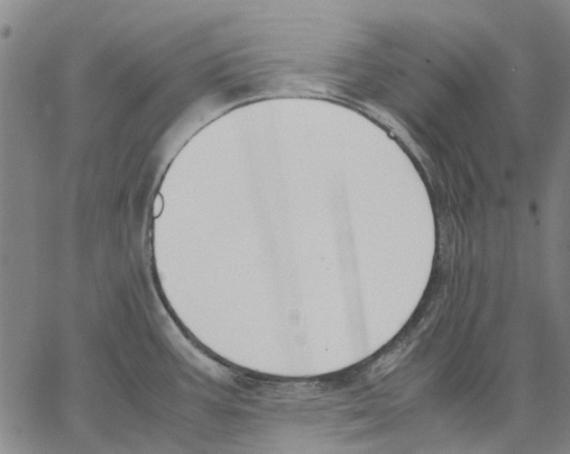 X0000062871387200602101641