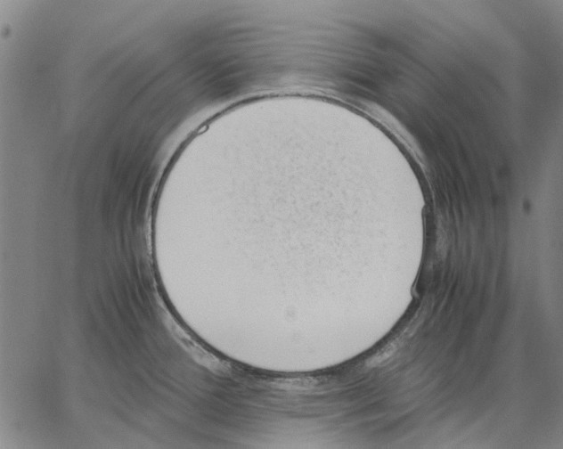 X0000062871388200602101641