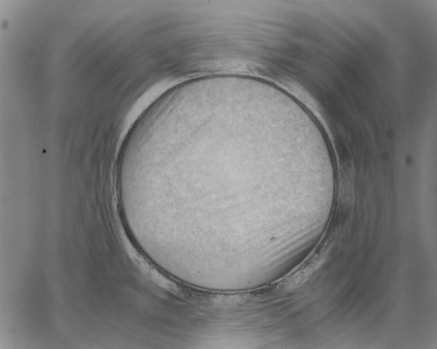 X0000062871389200602101641