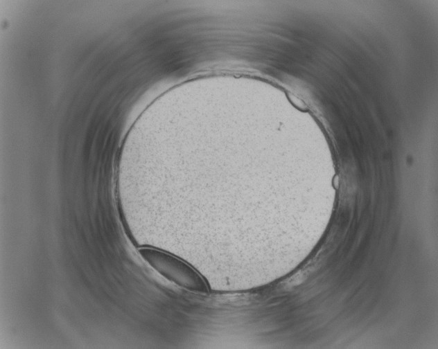 X0000062871390200602101641