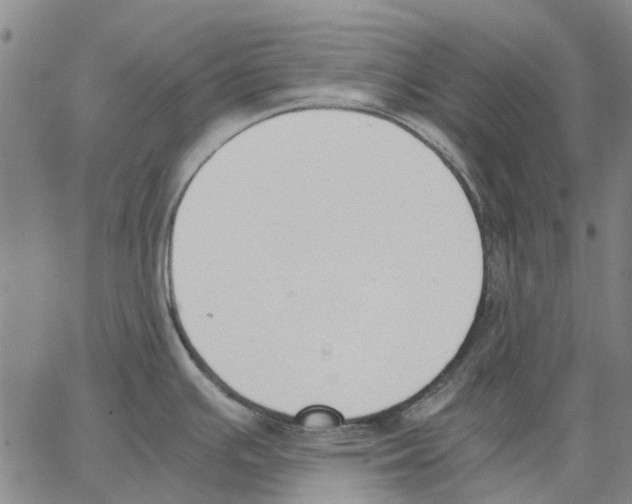 X0000062871391200602101641