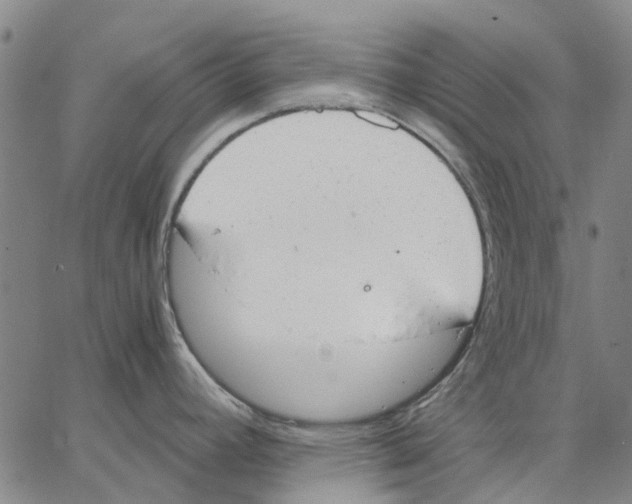 X0000062871392200602101640