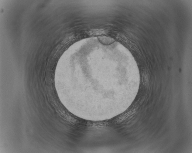 X0000062871393200602101640