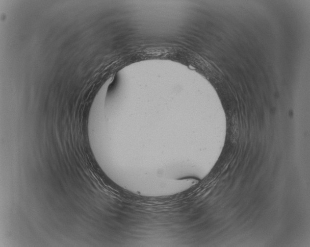 X0000062871394200602101640