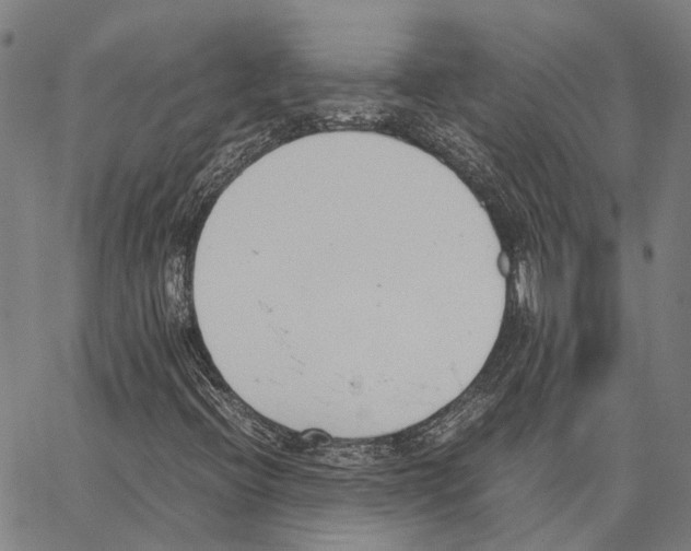 X0000062871396200602101640