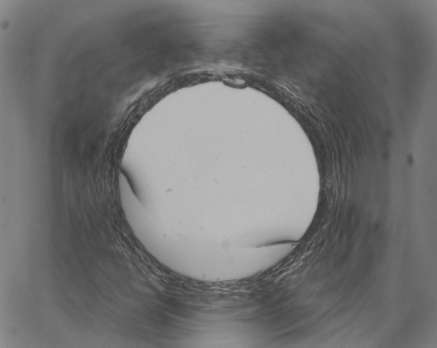 X0000062871398200602101640