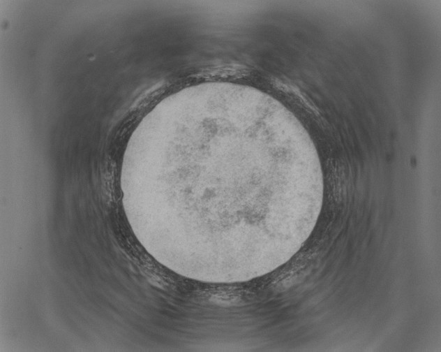 X0000062871399200602101640