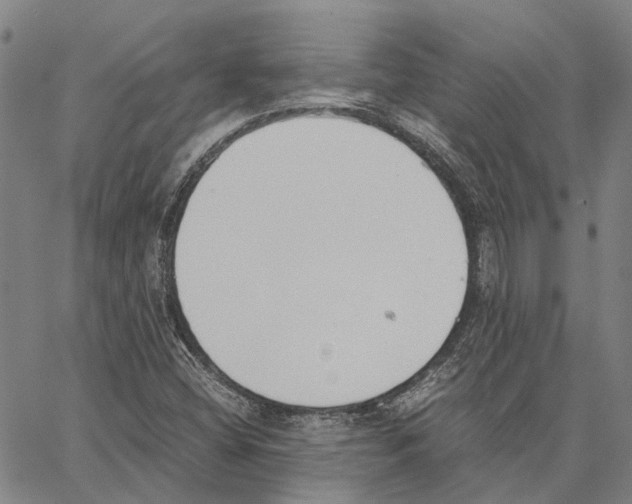 X0000062871404200602101640