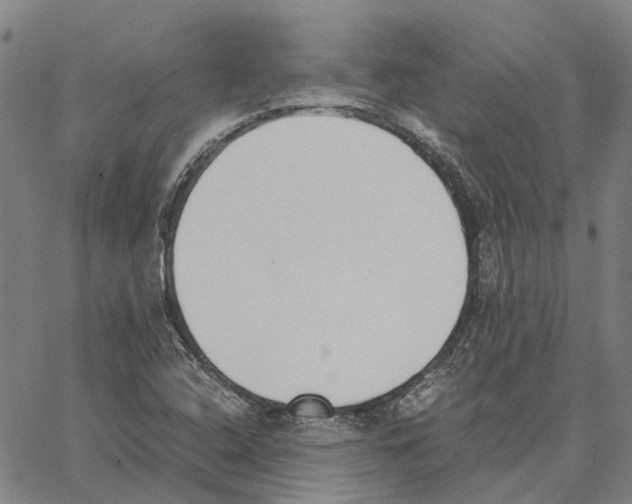 X0000062871408200602101640